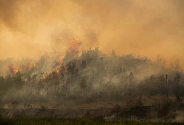colorado fire mitigation near me