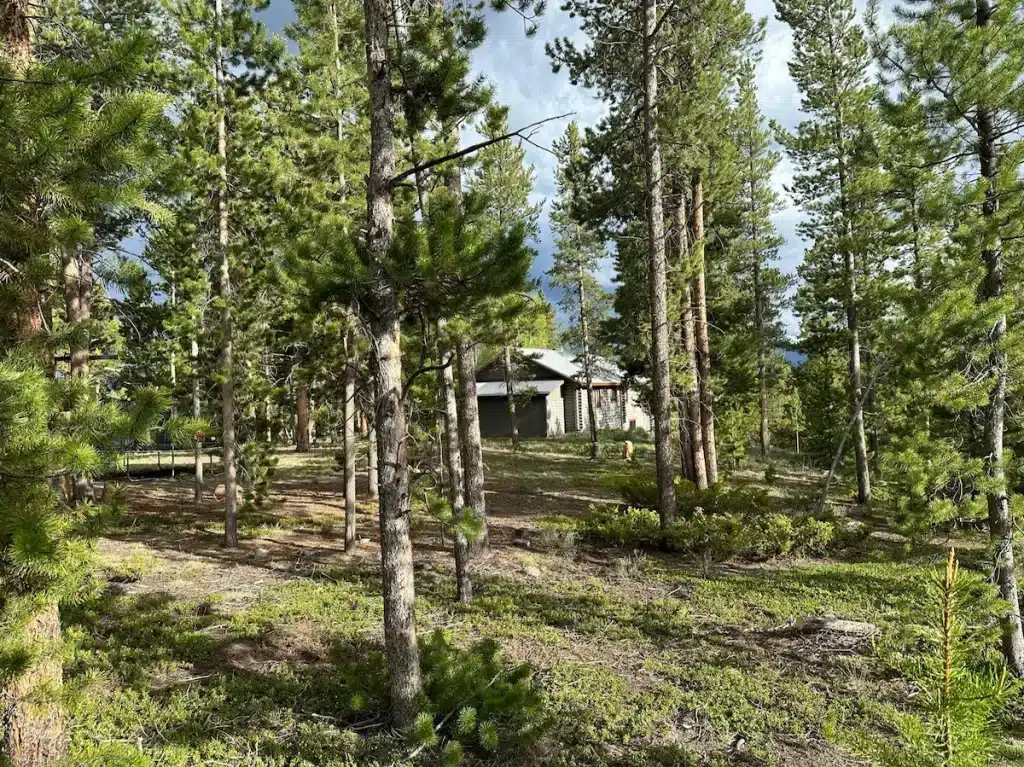 Skilled tree professionals evaluating defensible space and hazardous growth on steep hillside lot