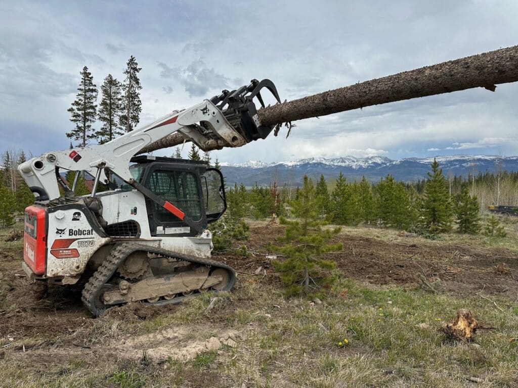 Skilled crew assessing dangerous tree lean and rigging plan on steep mountain lot