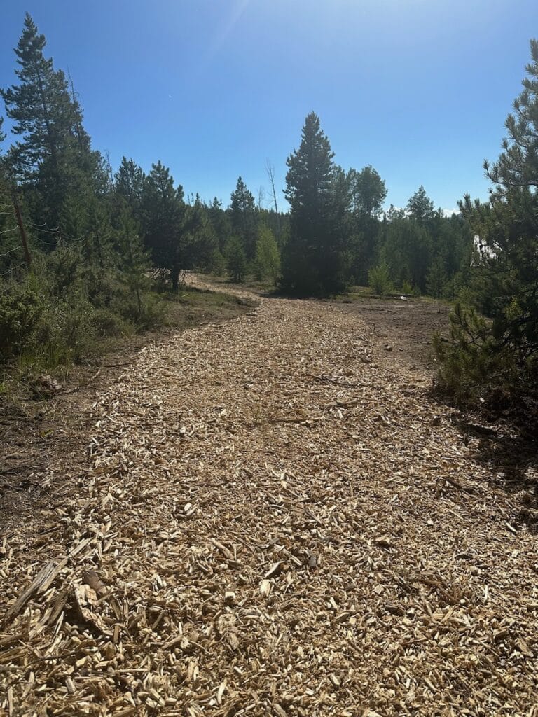 Effective Fire Mitigation Services near me