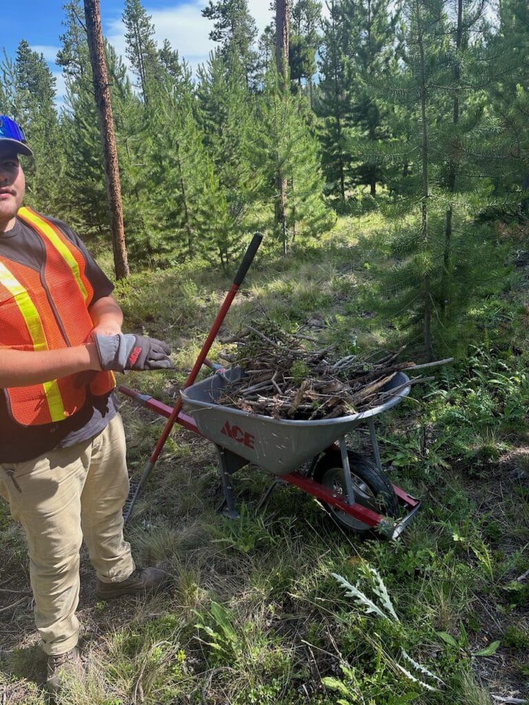 Efficient Brush Removal Services near me