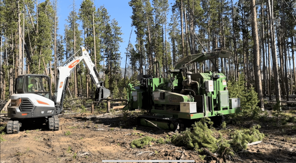 Tree service near me