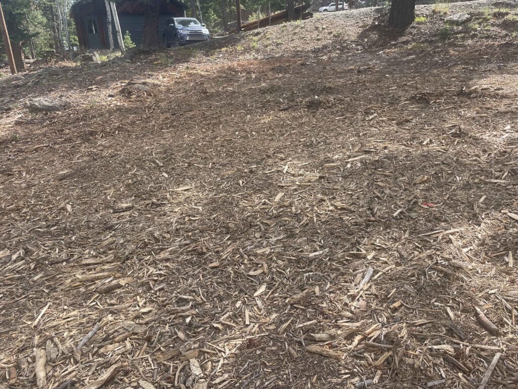 Defensible Space in Rollinsville - CO in progress as a crew clears brush beside a wooded driveway