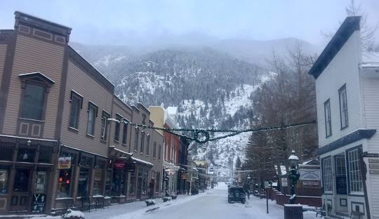 Fire Mitigation - Georgetown, CO