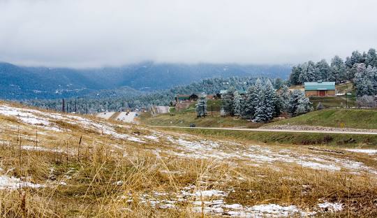 Fire Mitigation - Conifer, CO